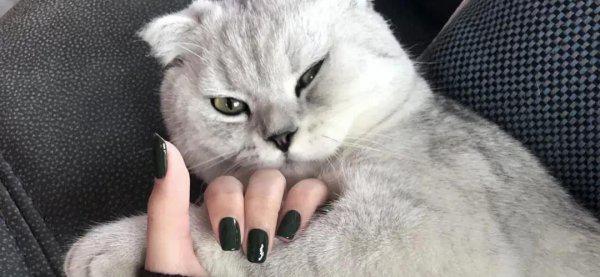 手黑适合什么颜色的美甲显白