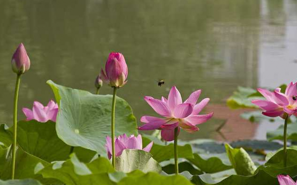 道德的起源是什么说法