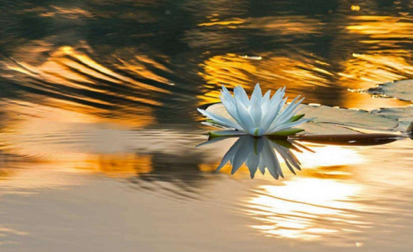 道德的起源是什么说法