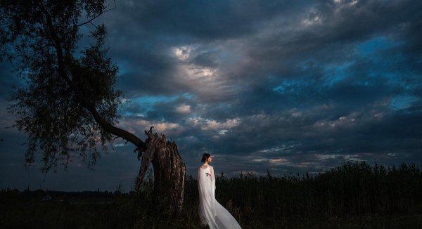 高质量的且多女主的小说