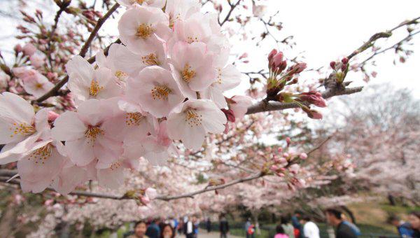 青岛免费景点排名一览表