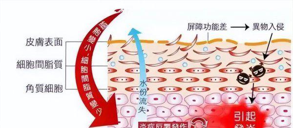 补水喷雾真的可以给皮肤补水吗