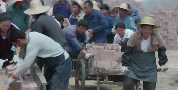 兰桐花开剧情介绍