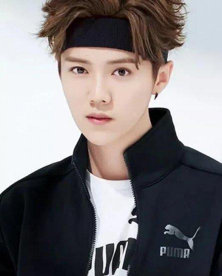 误入娱乐圈的明星