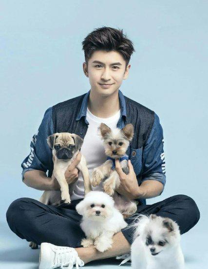 误入娱乐圈的明星