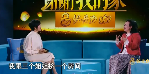 苏芮的身世之谜