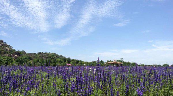 汕头景点有哪些好玩的地方推荐