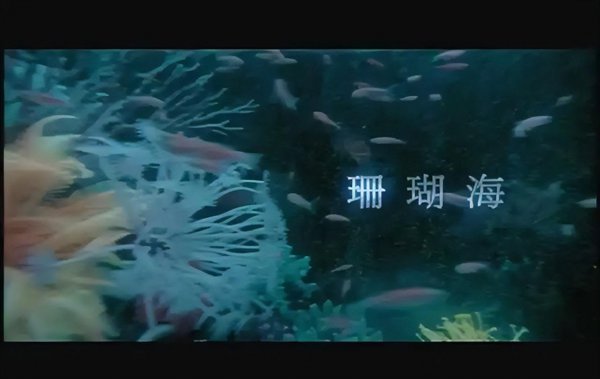 周杰伦十大经典歌曲排名