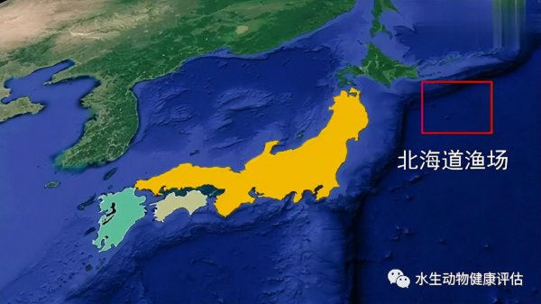 世界四大渔场分别在哪里