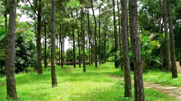 考研只求上岸的专业有哪些