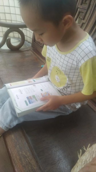 幼小衔接课程有哪些内容