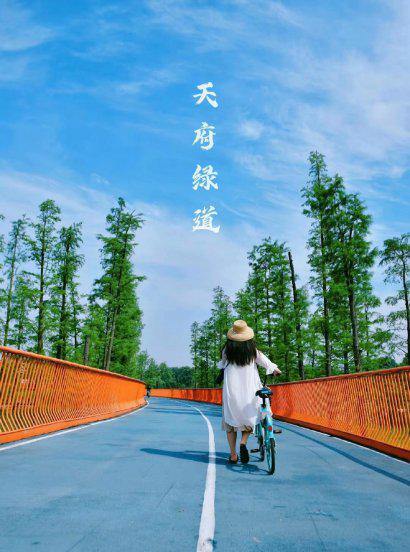 成都市区有什么好玩的地方推荐