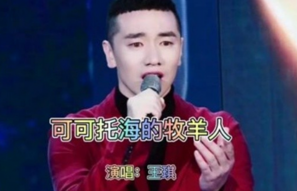 王琪简历及个人资料简介