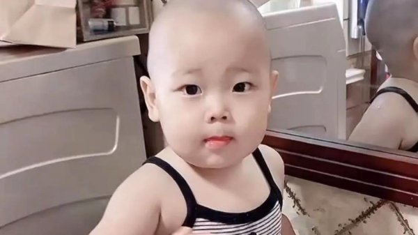 凭借拆家走红的网红小橙子