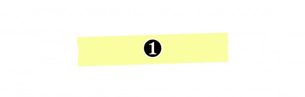 凭借拆家走红的网红小橙子