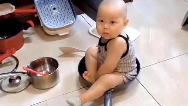 凭借拆家走红的网红小橙子