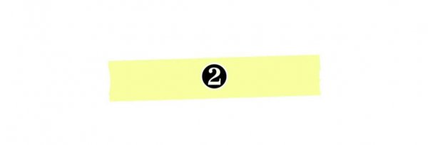 凭借拆家走红的网红小橙子