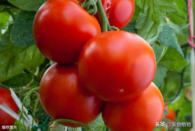 小番茄怎么保存时间长一点 使西红柿保鲜的方法推荐
