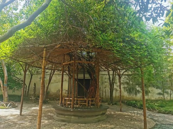 苏州四大园林分别是什么