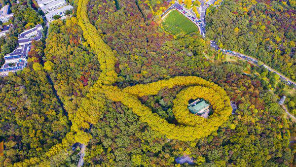 中国幸福感城市排名