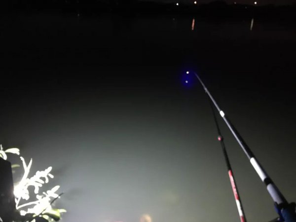 夜钓几点到几点的鱼口比较好