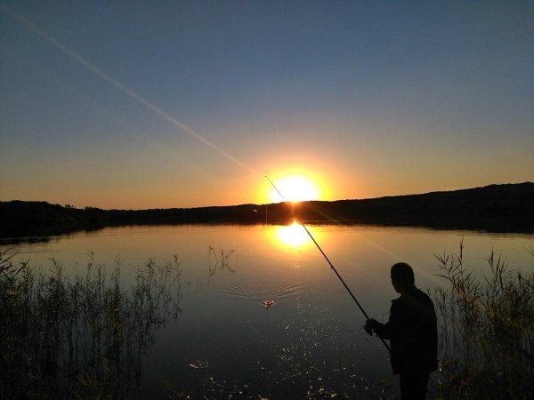 夜钓几点到几点的鱼口比较好