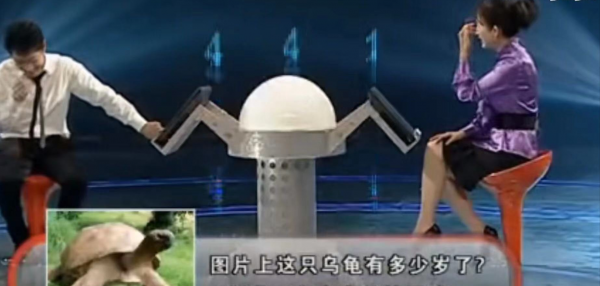 最火的综艺节目前十名