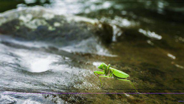 山郡逢春复乍晴谁写的