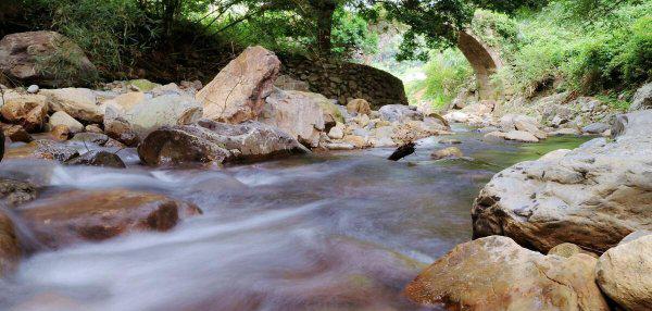 山郡逢春复乍晴谁写的