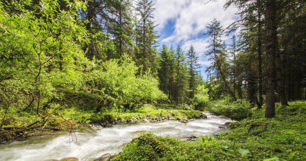 山郡逢春复乍晴谁写的