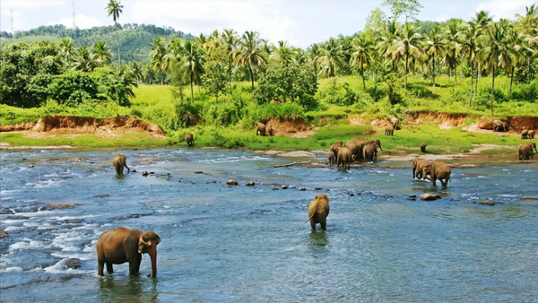 西双版纳海拔多少米高