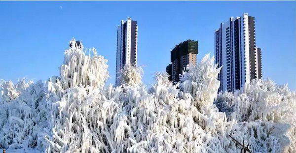 齐齐哈尔旅游攻略必去景点