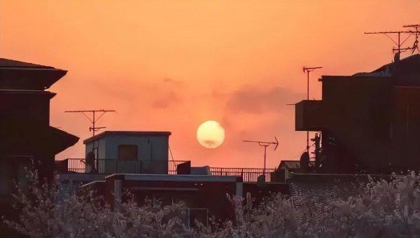 一句话骂醒不努力的人