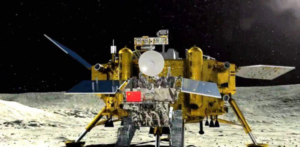 狼和小羊告诉我们什么道理