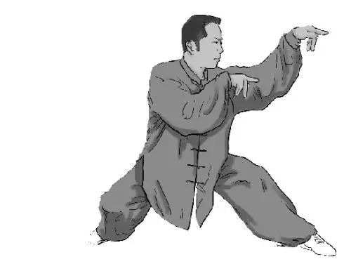 螳螂的特点介绍