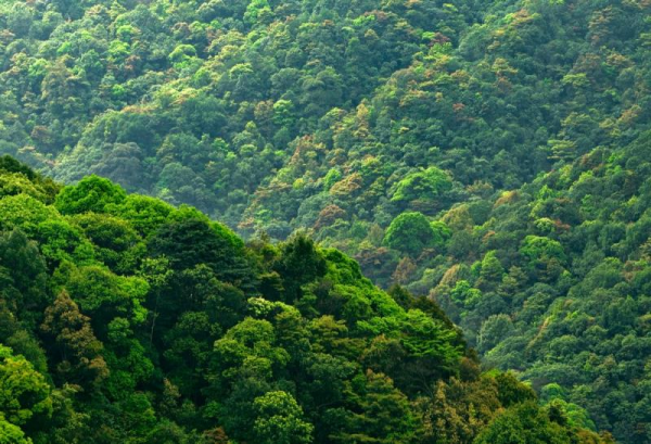 惠阳免费景点排名大全