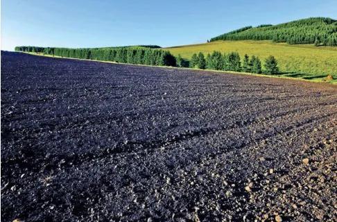 我国最大平原是哪个位于哪里