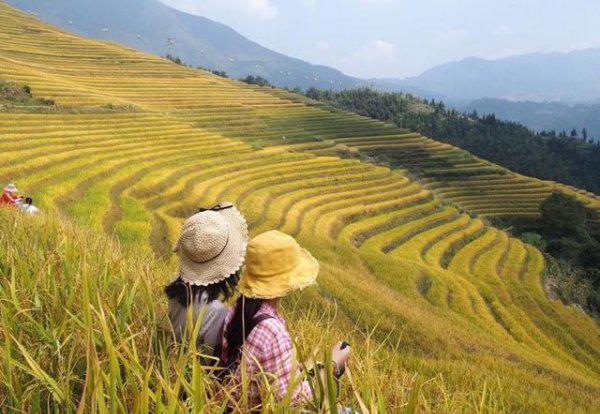 龙脊梯田在广西哪个县