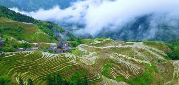 龙脊梯田在广西哪个县