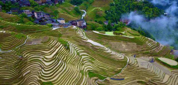 龙脊梯田在广西哪个县