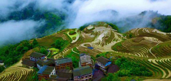 龙脊梯田在广西哪个县