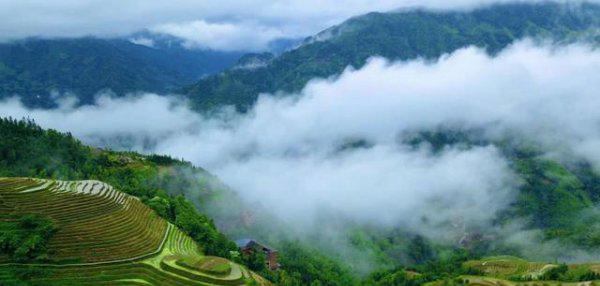 龙脊梯田在广西哪个县