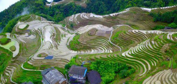 龙脊梯田在广西哪个县