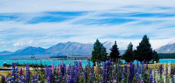 新西兰面积多少平方公里