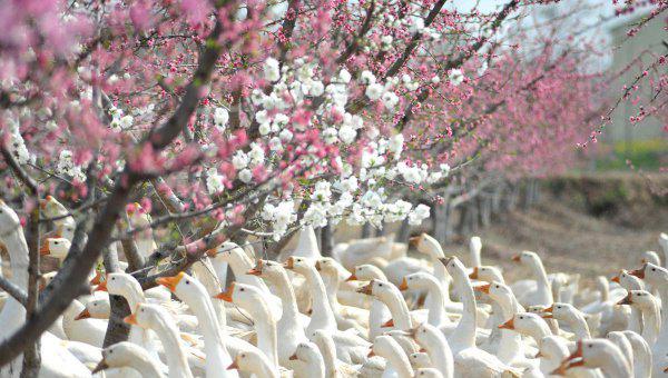 睢宁属于哪个省哪个市