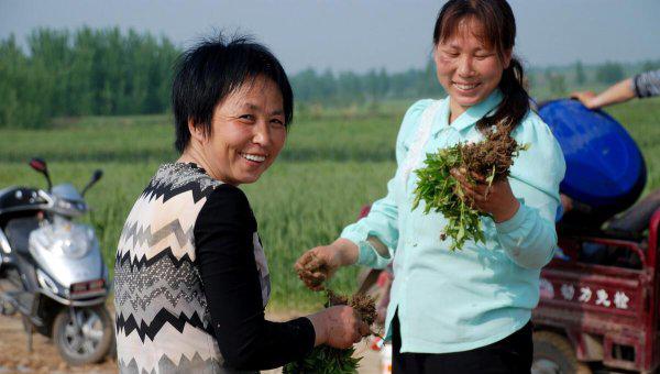 农村留守妇女怎么解决