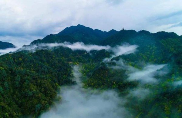 广东最高的山峰是什么山