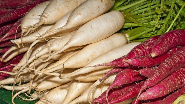 战备物资储备包括什么