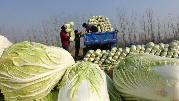 战备物资储备包括什么