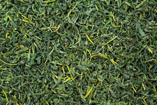 桑叶什么时候采摘最好